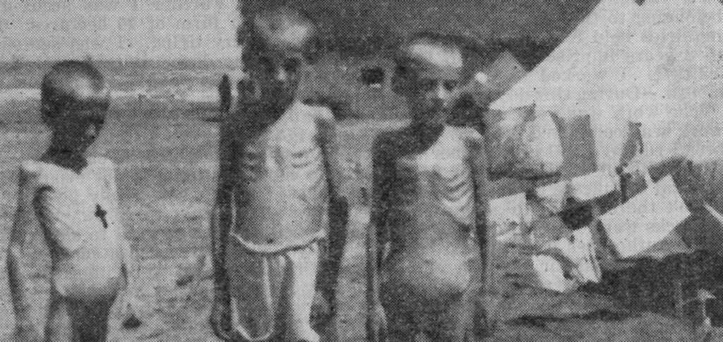 Three sisters, ages 7, 8, and 9, Polish evacuees from Russia, August 1942. Photos by: Lieutenant Colonel Henry I. Szymanski, U.S. Army.